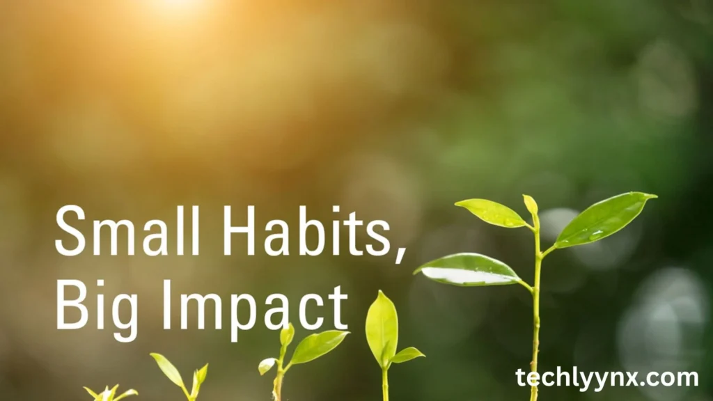 how small habits create steady ground