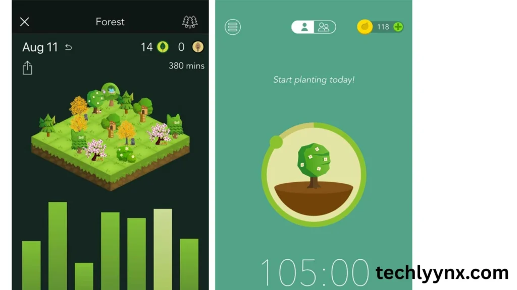 10. Forest – Stay Focused, Save the Planet
