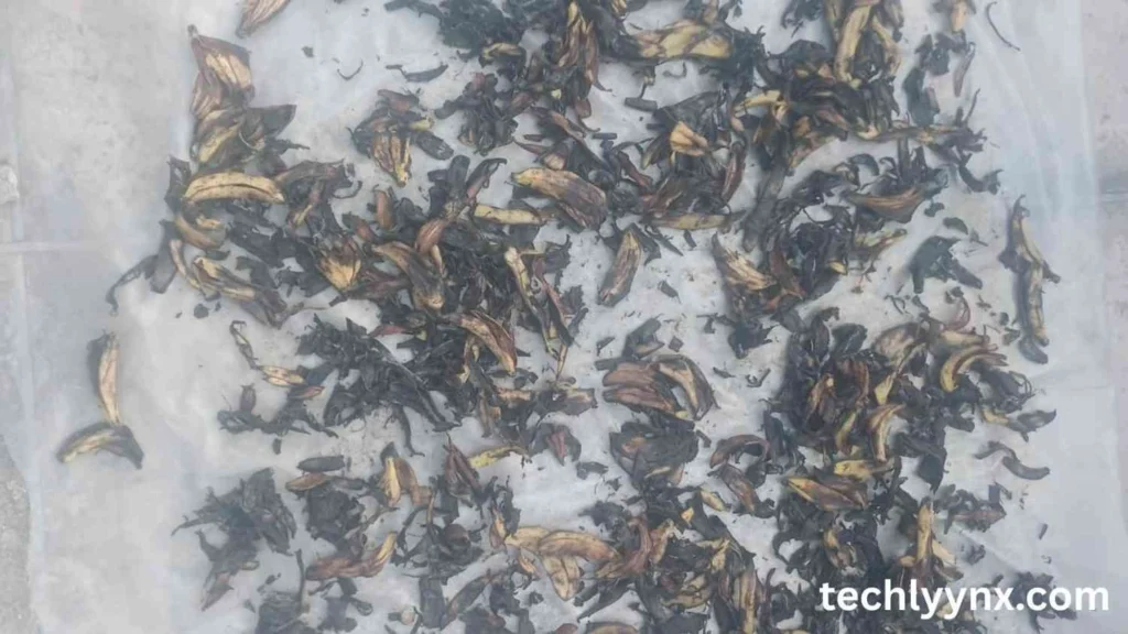 Drying banana peel