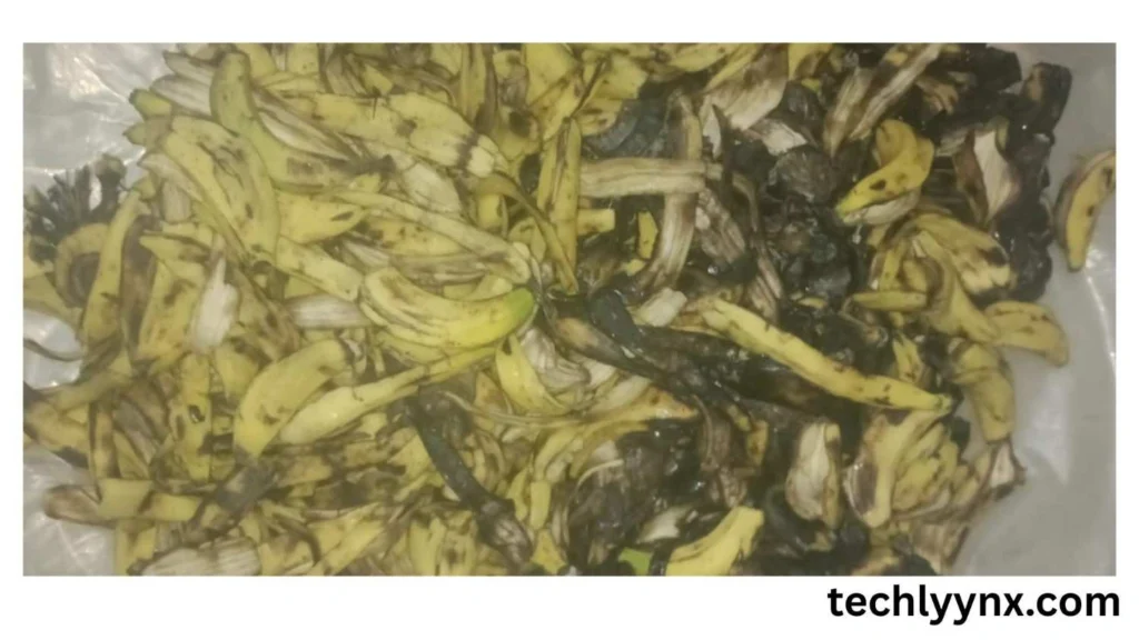 Fresh banana peel for banana peel research 