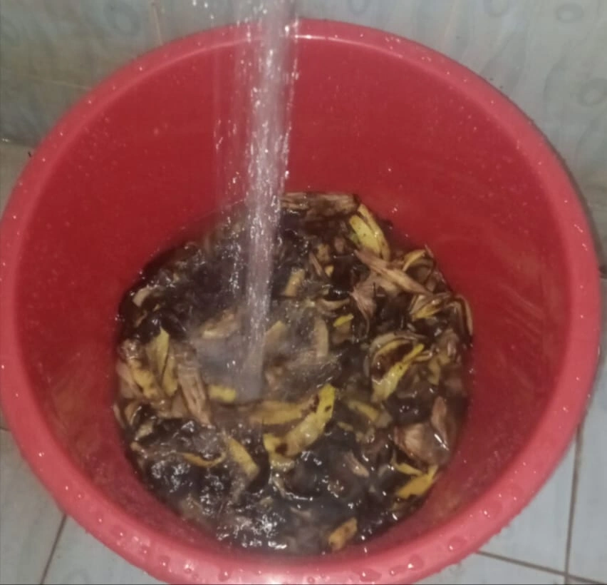 Washing in banana peel  research 